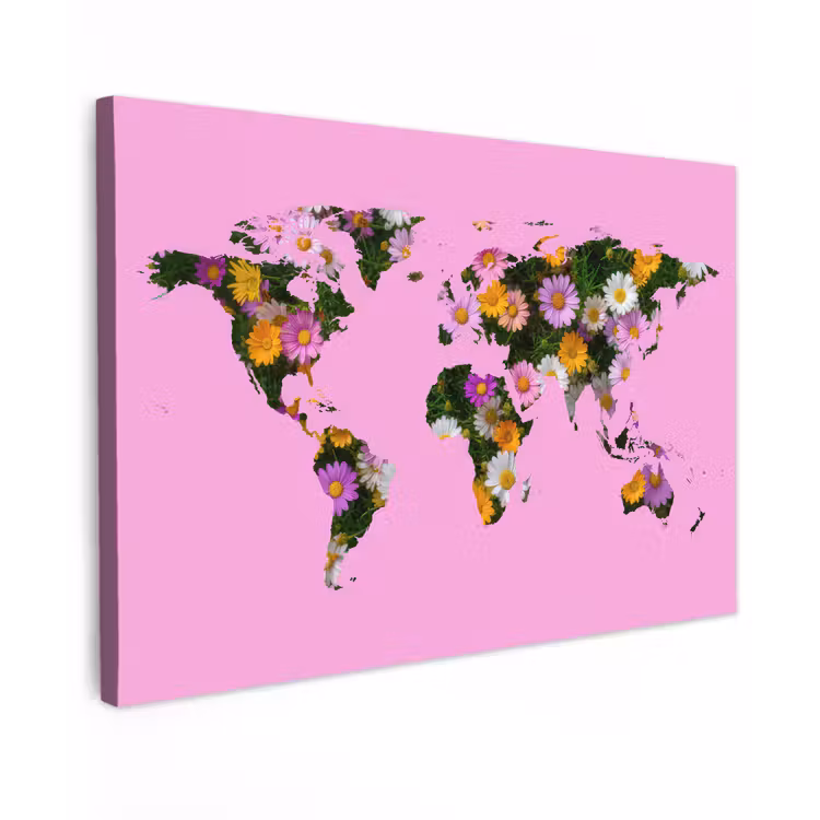 Wereldkaart - Roze - Madelief - Bloemen canvas 2cm klein -z3d