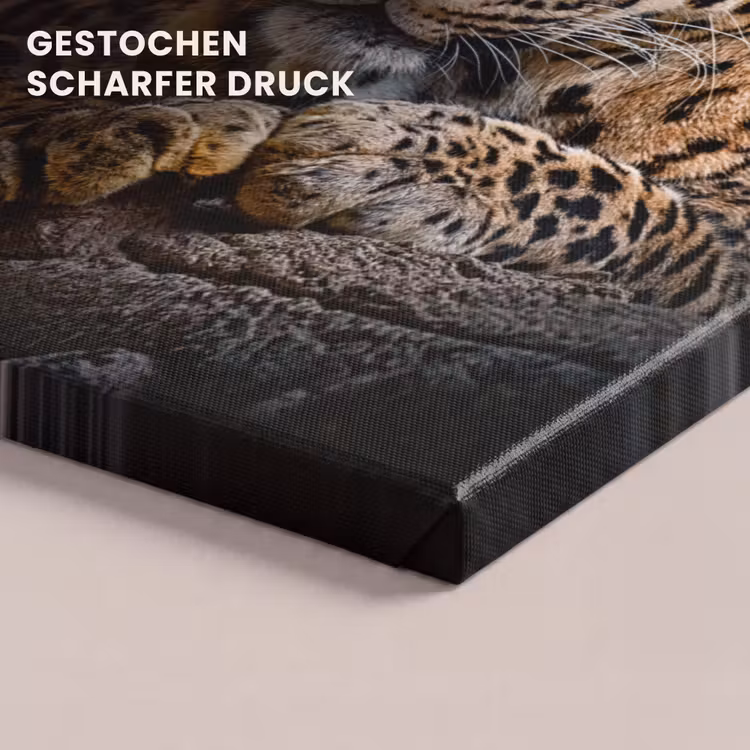 Wilde dieren - Panter - Portret - Zwart - Dieren canvas 2cm klein -closeup_print_DE
