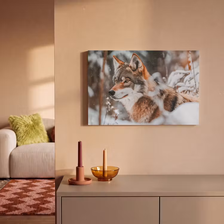 Wolf - Sneeuw - Winter - Dieren - Natuur - Sneeuw canvas 2cm klein -sfeer1