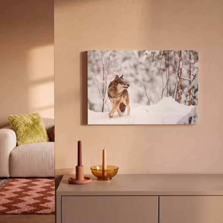 Wolf - Winter - Sneeuw - Natuur - Dieren canvas 2cm klein -sfeer1