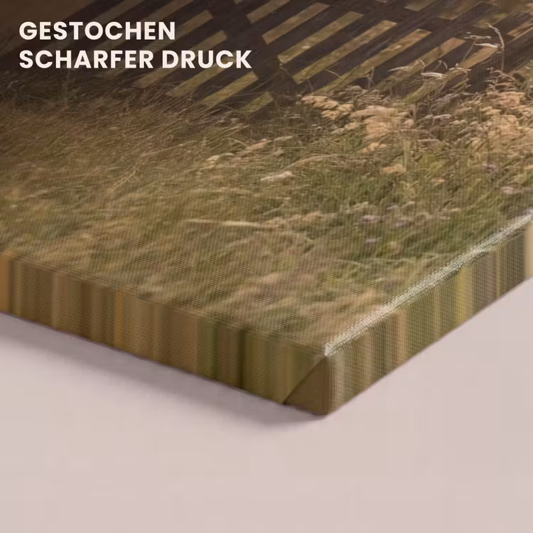 Hek - Natuur - Mist - Veld canvas 2cm klein -closeup_print_DE