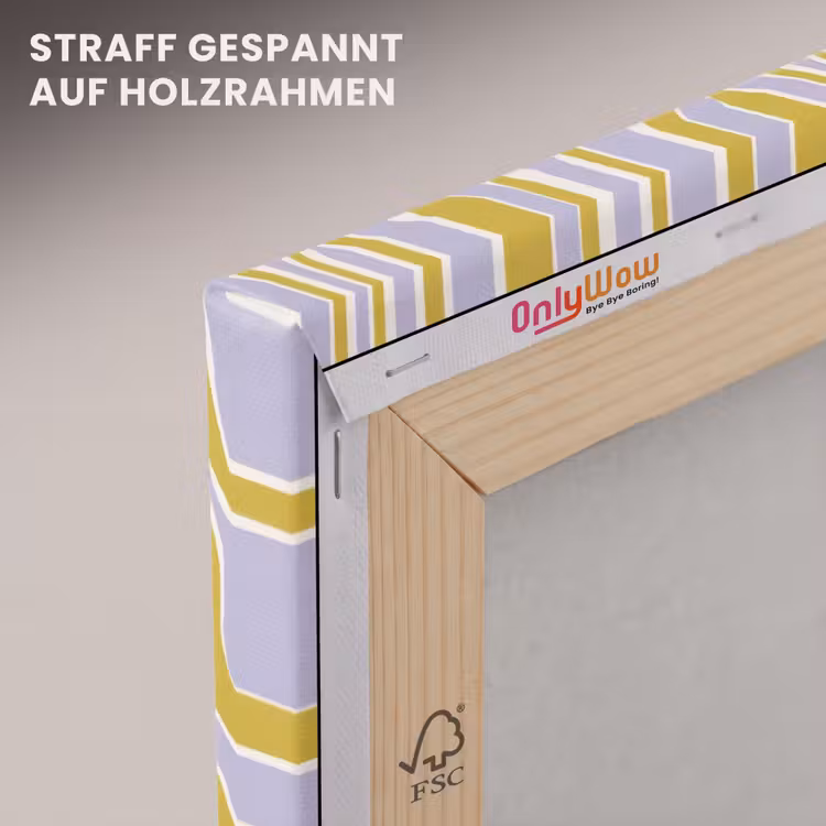 Zebra - Modern - Meerkleurig canvas 2cm klein 34 -uniquesellingpoint_afwerking-onlywow_DE