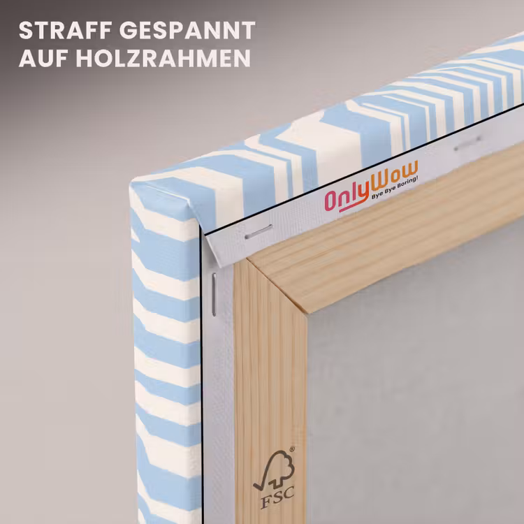 Zebra - Motief - Blauw - Wit canvas 2cm klein 34 -uniquesellingpoint_afwerking-onlywow_DE