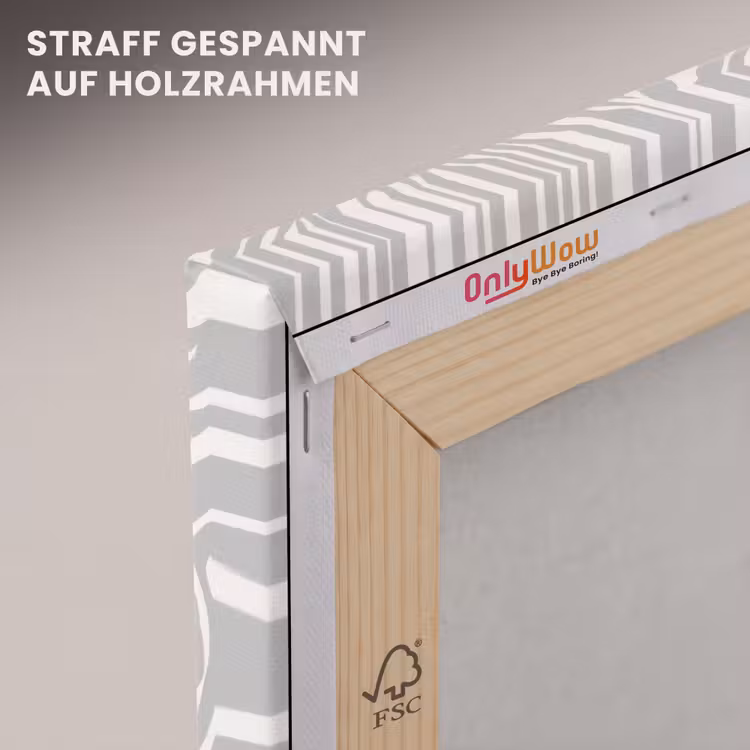 Zebra - Motief - Grijs canvas 2cm klein 34 -uniquesellingpoint_afwerking-onlywow_DE