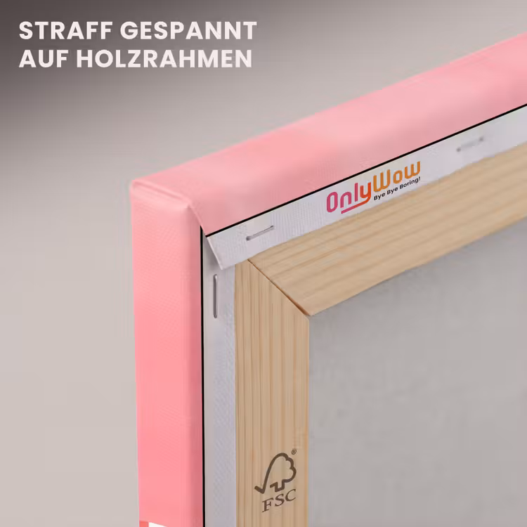 Zebra - Pink - Verf canvas 2cm klein -uniquesellingpoint_afwerking-onlywow_DE