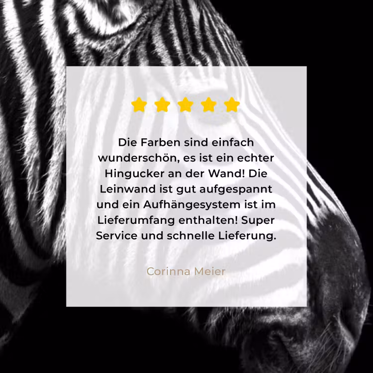 Zebra - Zwart - Wit - Portret - Dieren canvas 2cm klein -Xsfeer7_DE