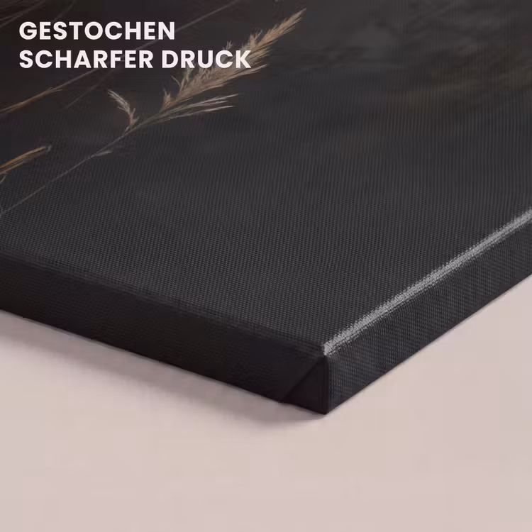 Siergras - Pluimen - Verlichting - Zwart canvas 2cm klein -closeup_print_DE