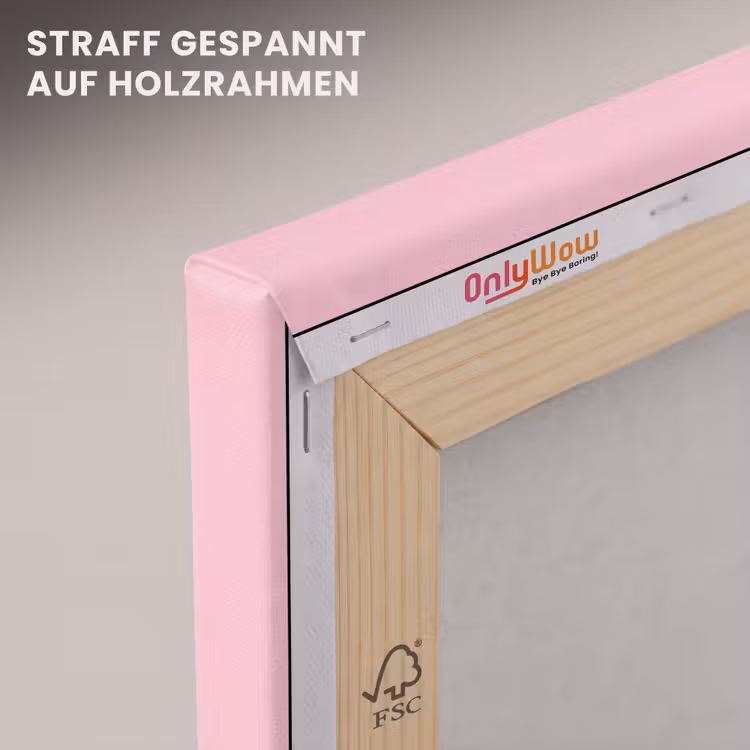 Abstract - Geometrisch - Vormen - Roze canvas 2cm klein -uniquesellingpoint_afwerking-onlywow_DE