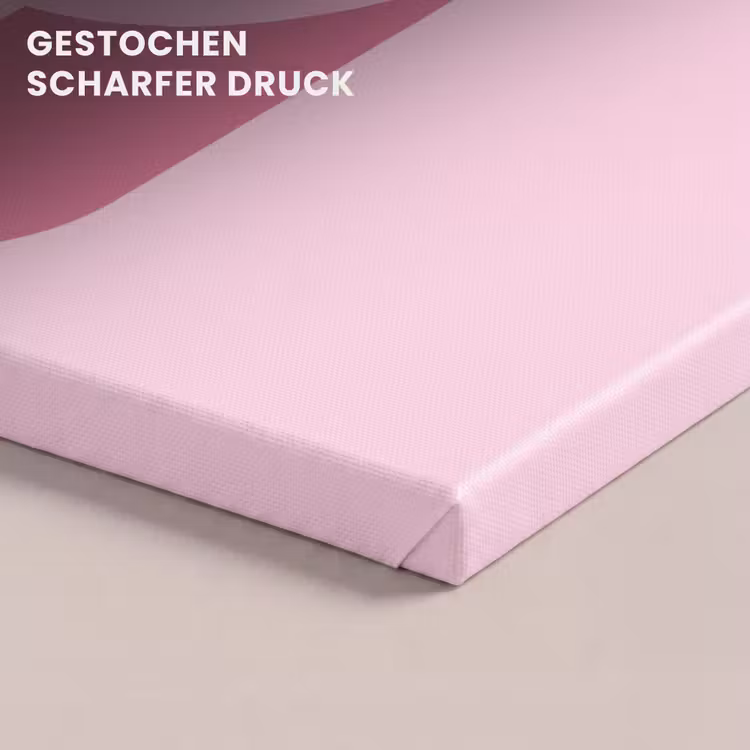 Abstract - Cirkels - Strepen - Modern - Roze canvas 2cm klein -closeup_print_DE