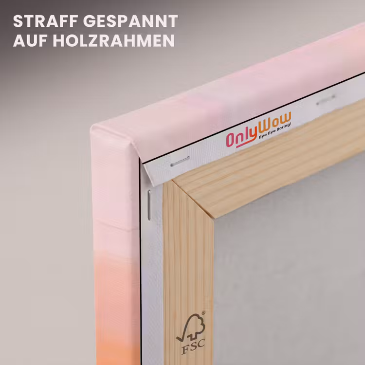 Abstract - Landschap - Modern - Roze - Oranje canvas 2cm klein -uniquesellingpoint_afwerking-onlywow_DE