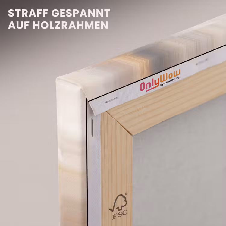 Abstract - Borstelstreken - Modern - Beige - Kunst canvas 2cm klein -uniquesellingpoint_afwerking-onlywow_DE