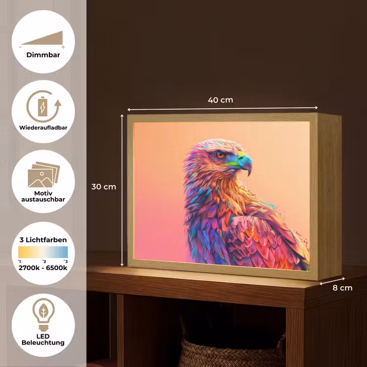 Arend - Vogel - Kleurrijk - Dier Light Box met batterij (Wandlamp kind) middel -USP_websiteoverzichtDE