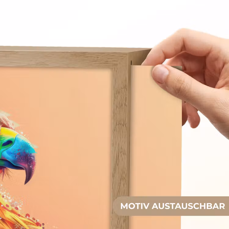 Arend - Vogel - Kleurrijk - Dier Light Box met batterij (Wandlamp kind) middel -USP_websiteprintDE