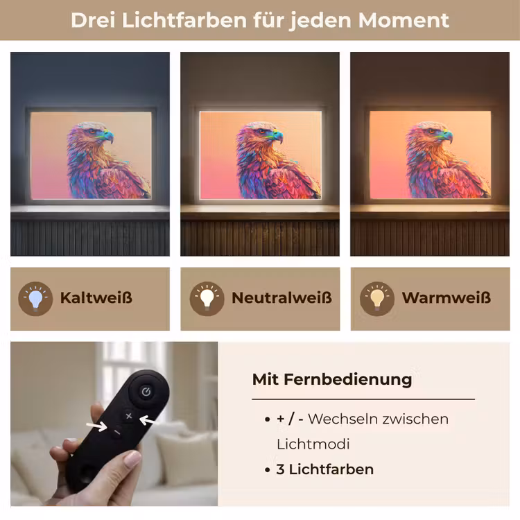Arend - Vogel - Kleurrijk - Dier Light Box met batterij (Wandlamp kind) middel -USP_lichtkleurDE