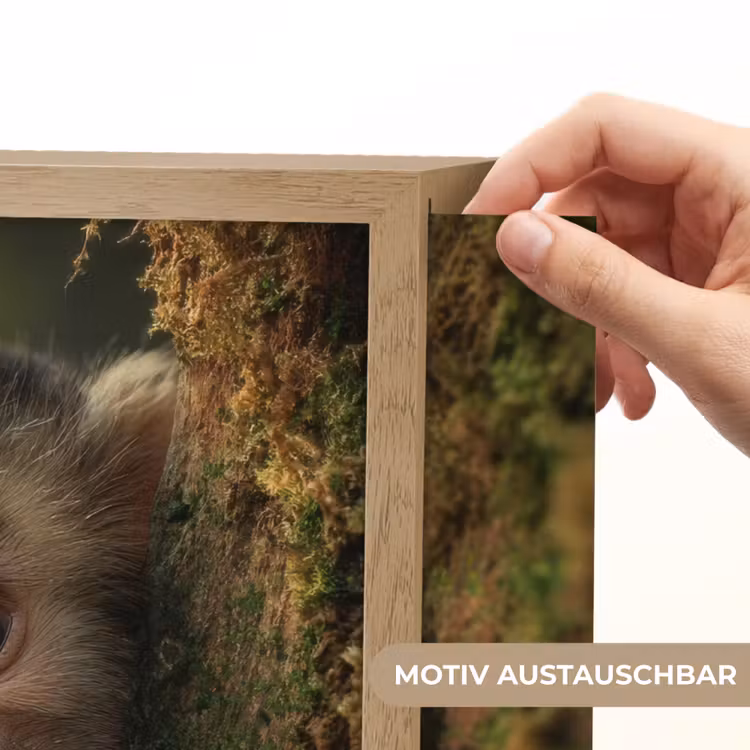 Aap - Boomstronk - Bruin Light Box met batterij (Wandlamp kind) middel -USP_websiteprintDE