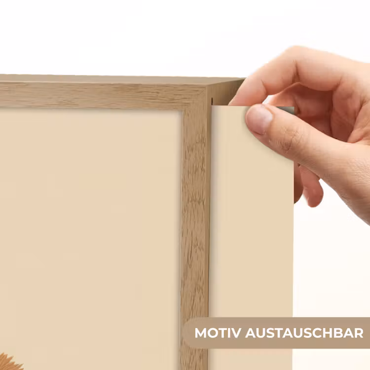 Alpaca - Egel - Bruin - Knuffelen Light Box met batterij (Wandlamp kind) middel -USP_websiteprintDE