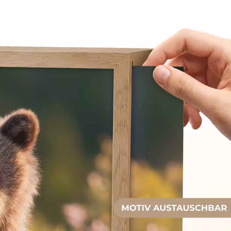 Beer - Bloemenveld - Gras Light Box met batterij (Wandlamp kind) middel -USP_websiteprintDE