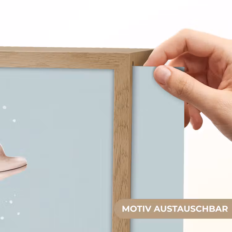 Dolfijn - Zeewier - Grijs Light Box met batterij (Wandlamp kind) middel -USP_websiteprintDE