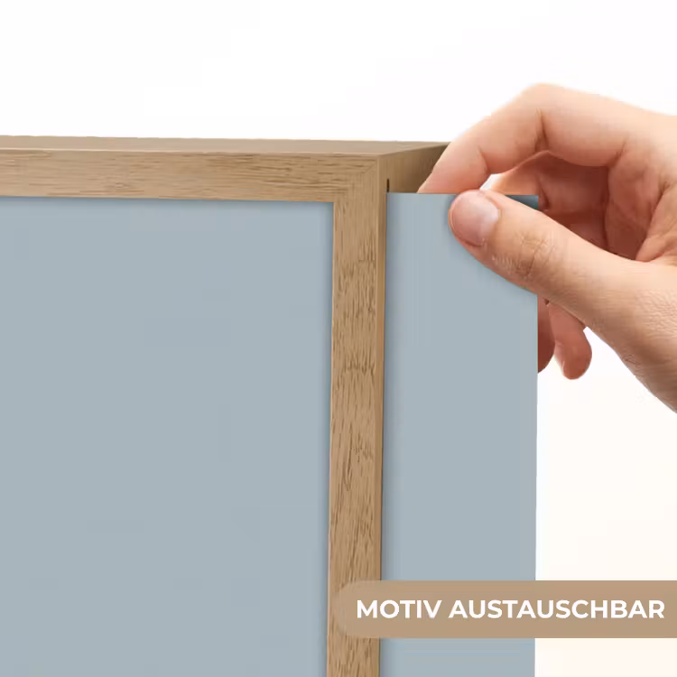 Dino - Brachiosaurus - Dinosaurus - Blauw Light Box met batterij (Wandlamp kind) middel -USP_websiteprintDE