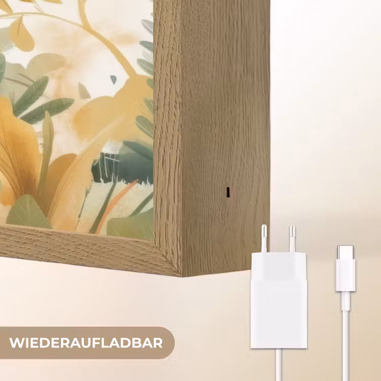 Dino - Voetbal - Oranje Light Box met batterij (Wandlamp kind) middel -USP_websiteoplaadbaarDE