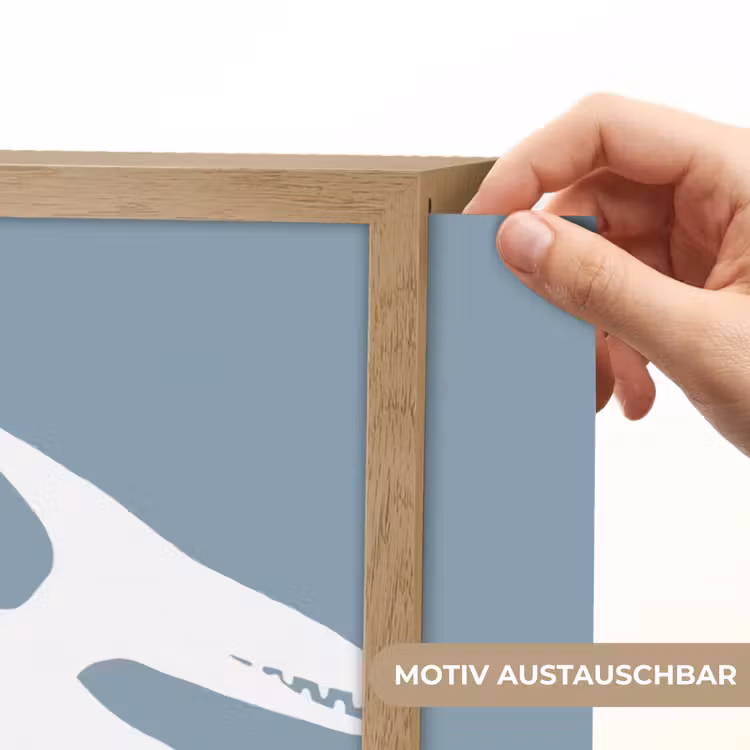 Dino - Pteranodon - Dinosaurus - Blauw Light Box met batterij (Wandlamp kind) middel -USP_websiteprintDE