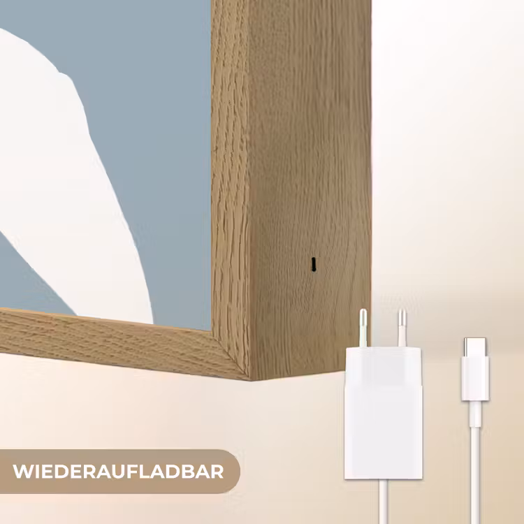 Dino - Pteranodon - Dinosaurus - Blauw Light Box met batterij (Wandlamp kind) middel -USP_websiteoplaadbaarDE