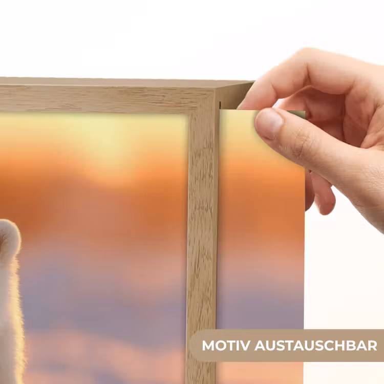 Ijsbeer - Sneeuw - Zonsopgang Light Box met batterij (Wandlamp kind) middel -USP_websiteprintDE