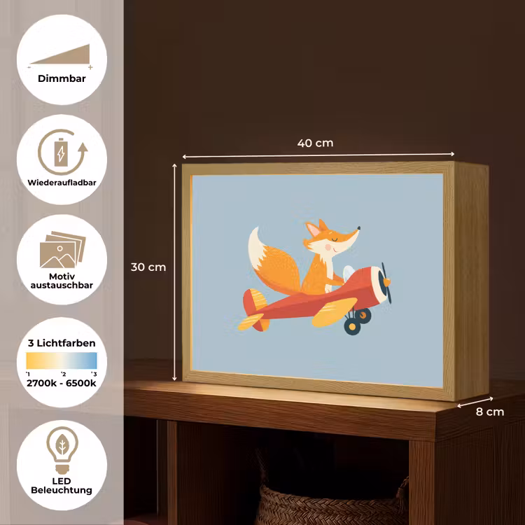 Vos - Vliegtuig - Blauw Light Box met batterij (Wandlamp kind) middel -USP_websiteoverzichtDE