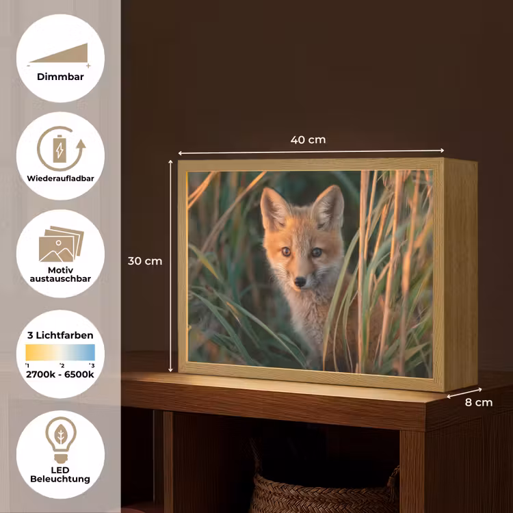 Vos - Oranje - Gras Light Box met batterij (Wandlamp kind) middel -USP_websiteoverzichtDE