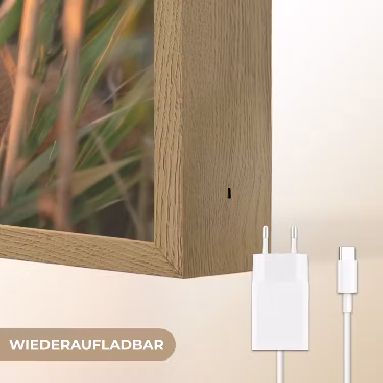 Vos - Oranje - Gras Light Box met batterij (Wandlamp kind) middel -USP_websiteoplaadbaarDE