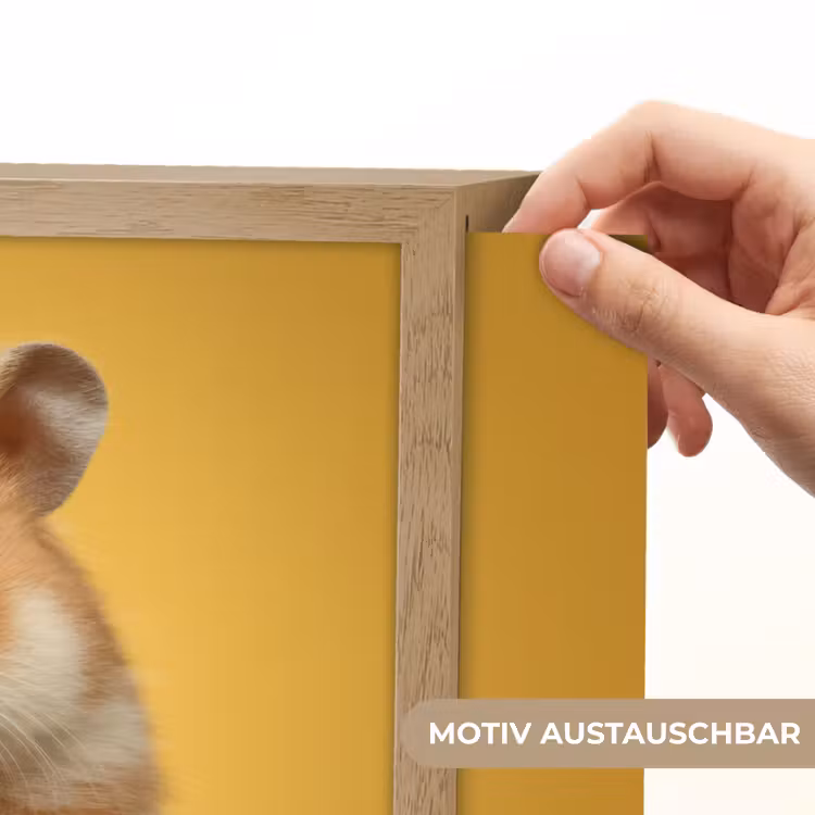 Hamster - Nootje - Geel - Knaagdier Light Box met batterij (Wandlamp kind) middel -USP_websiteprintDE