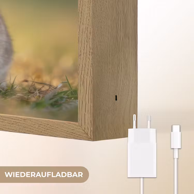 Konijntje - Bruin - Gras Light Box met batterij (Wandlamp kind) middel -USP_websiteoplaadbaarDE