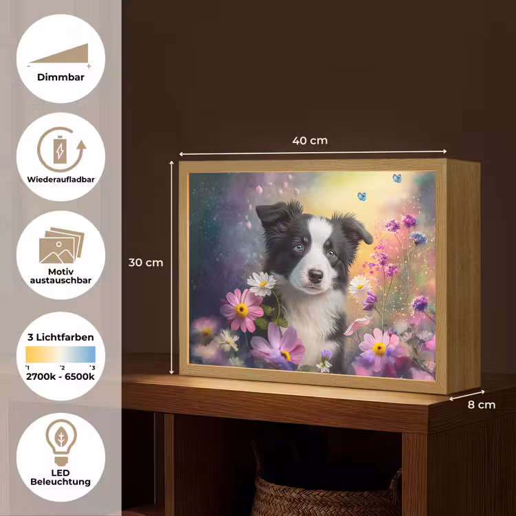 Hond - Bloemen - Natuur - Puppy - Bordercollie Light Box met batterij (Wandlamp kind) middel -USP_websiteoverzichtDE