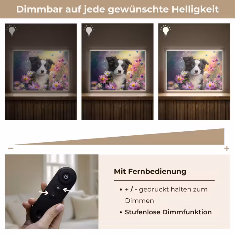 Hond - Bloemen - Natuur - Puppy - Bordercollie Light Box met batterij (Wandlamp kind) middel -USP_dimbaarDE