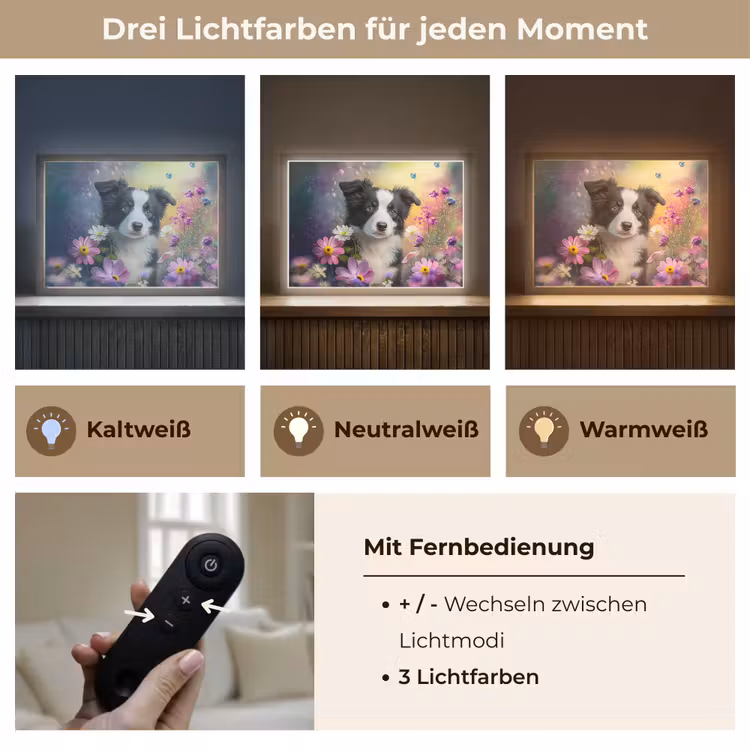 Hond - Bloemen - Natuur - Puppy - Bordercollie Light Box met batterij (Wandlamp kind) middel -USP_lichtkleurDE