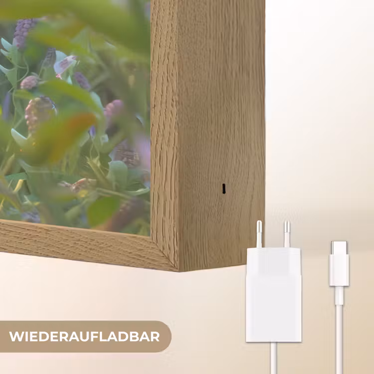 Konijn - Dieren - Natuur Light Box met batterij (Wandlamp kind) middel -USP_websiteoplaadbaarDE