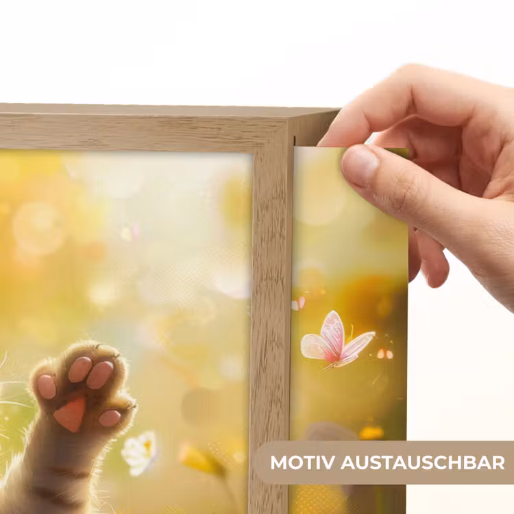 Kitten - Dier - Natuur - Bloemen Light Box met batterij (Wandlamp kind) middel -USP_websiteprintDE