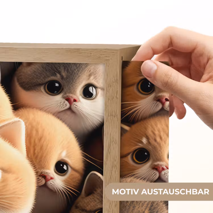 Katten - Huisdieren - Kitten - Design - Jongens - Meisjes Light Box met batterij (Wandlamp kind) middel -USP_websiteprintDE