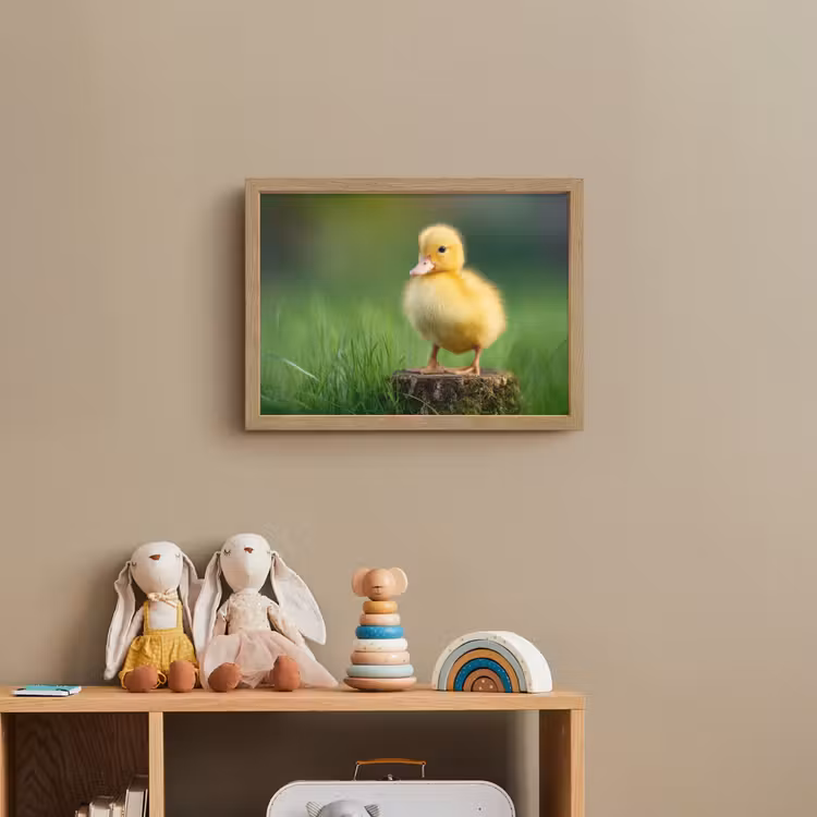 Kuiken - Eend - Geel - Gras Light Box met batterij (Wandlamp kind) middel -sfeer2_kind