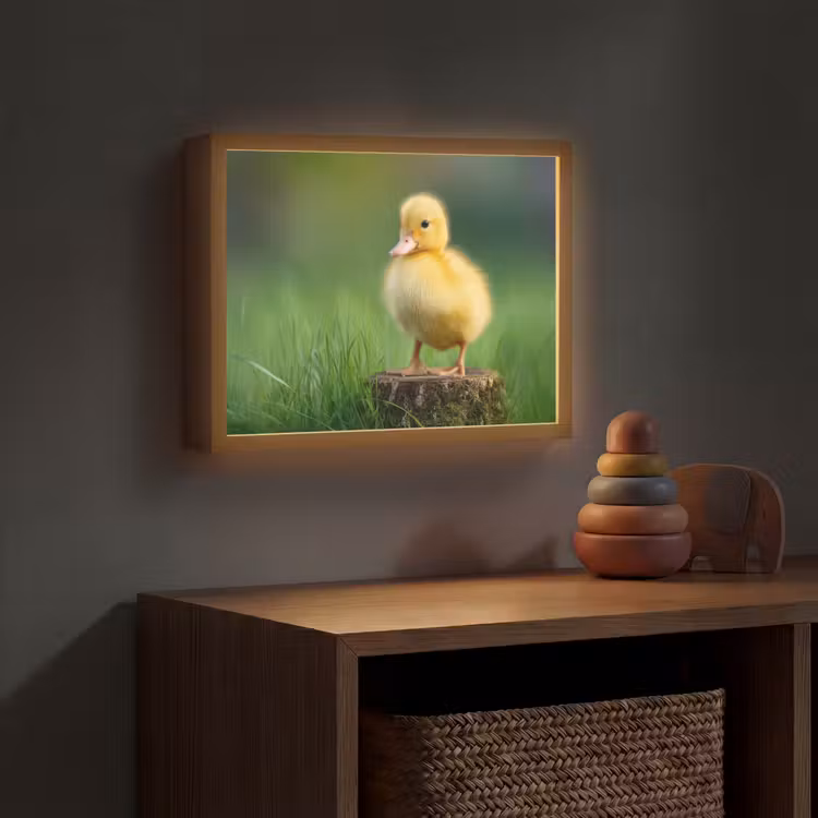 Kuiken - Eend - Geel - Gras Light Box met batterij (Wandlamp kind) middel -sfeer5_kind