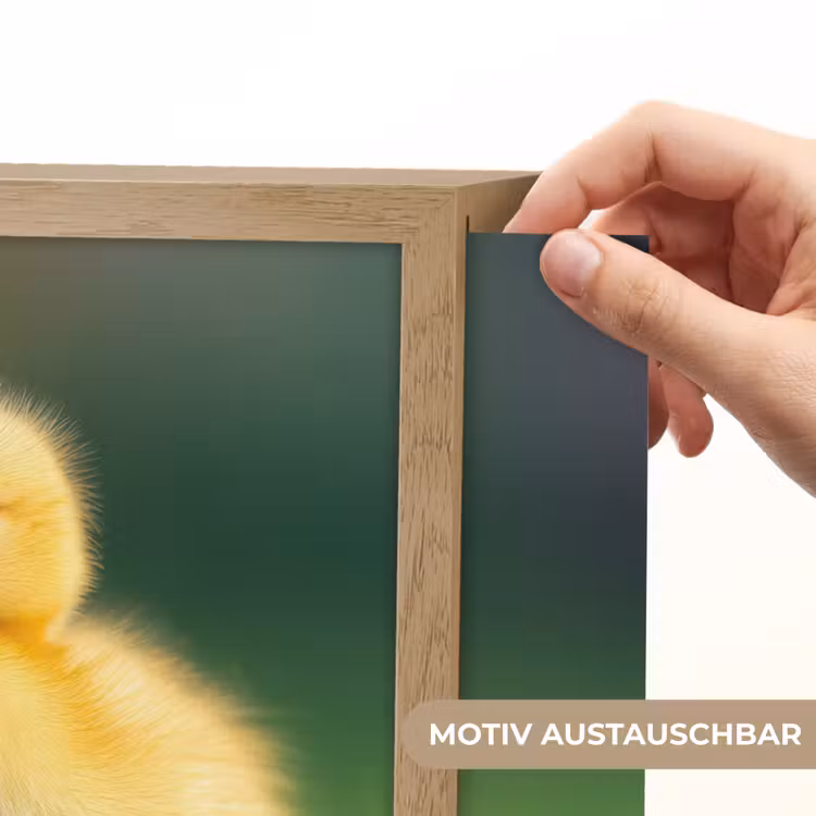 Kuiken - Eend - Geel - Gras Light Box met batterij (Wandlamp kind) middel -USP_websiteprintDE