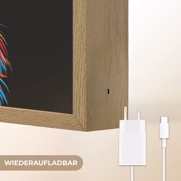Leeuwen - Kleurrijk - Zwart - Dieren Light Box met batterij (Wandlamp kind) middel -USP_websiteoplaadbaarDE