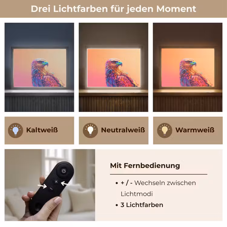 Arend - Vogel - Kleurrijk - Dier Light Box met batterij (Wandlamp kind) middel -USP_lichtkleurDE