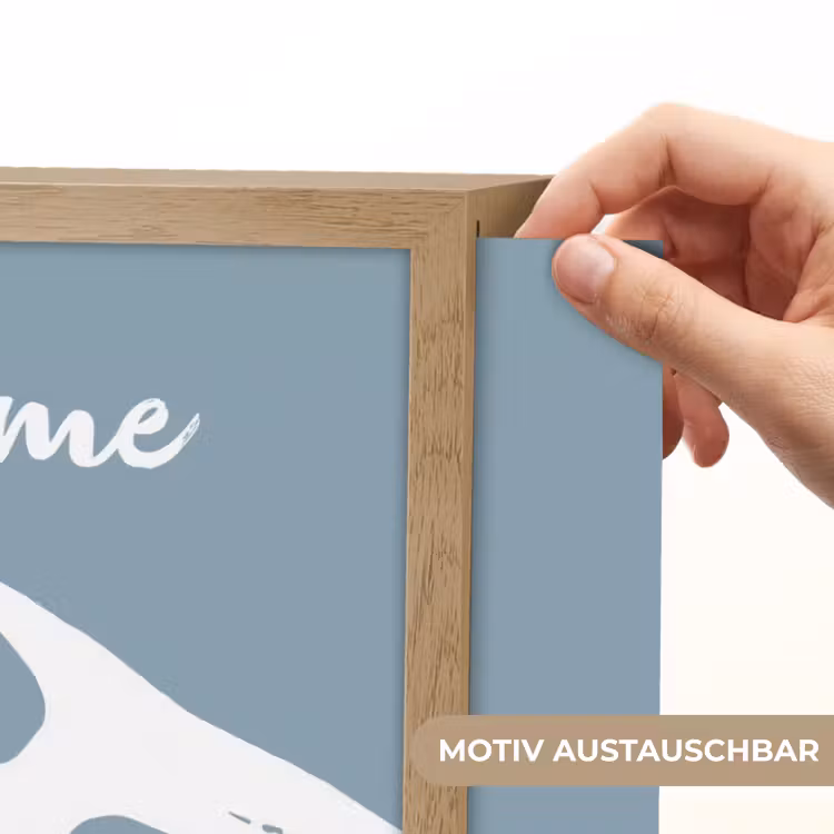 Dino - Pteranodon - Dinosaurus - Blauw Light Box met batterij (Wandlamp kind) middel -USP_websiteprintDE