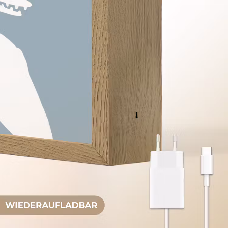 Dino - Pteranodon - Dinosaurus - Blauw Light Box met batterij (Wandlamp kind) middel -USP_websiteoplaadbaarDE
