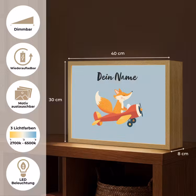 Vos - Vliegtuig - Blauw Light Box met batterij (Wandlamp kind) middel -USP_websiteoverzichtDE