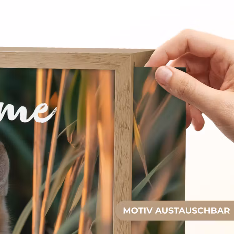Vos - Oranje - Gras Light Box met batterij (Wandlamp kind) middel -USP_websiteprintDE
