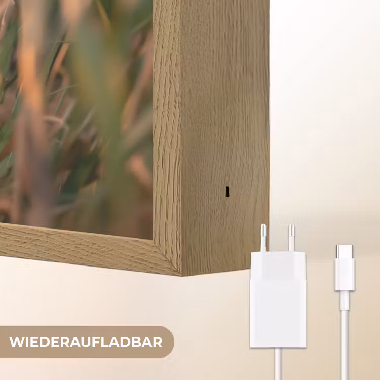 Vos - Oranje - Gras Light Box met batterij (Wandlamp kind) middel -USP_websiteoplaadbaarDE