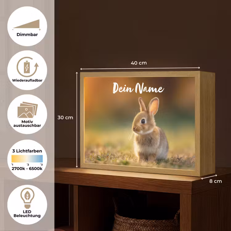 Konijntje - Bruin - Gras Light Box met batterij (Wandlamp kind) middel -USP_websiteoverzichtDE