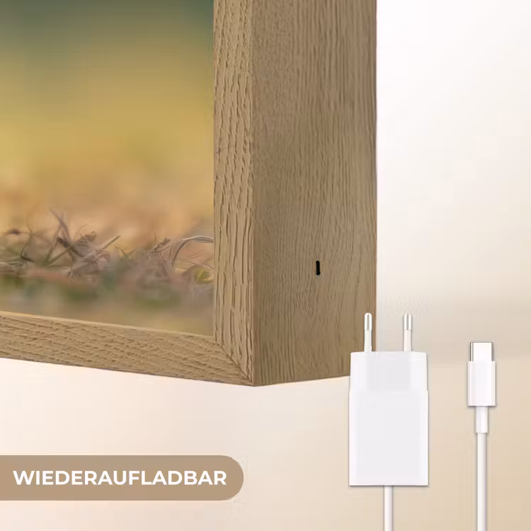 Konijntje - Bruin - Gras Light Box met batterij (Wandlamp kind) middel -USP_websiteoplaadbaarDE
